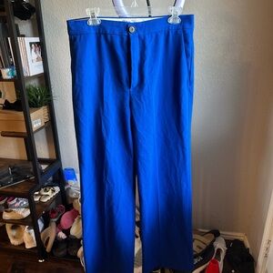 Zara Blue Pants